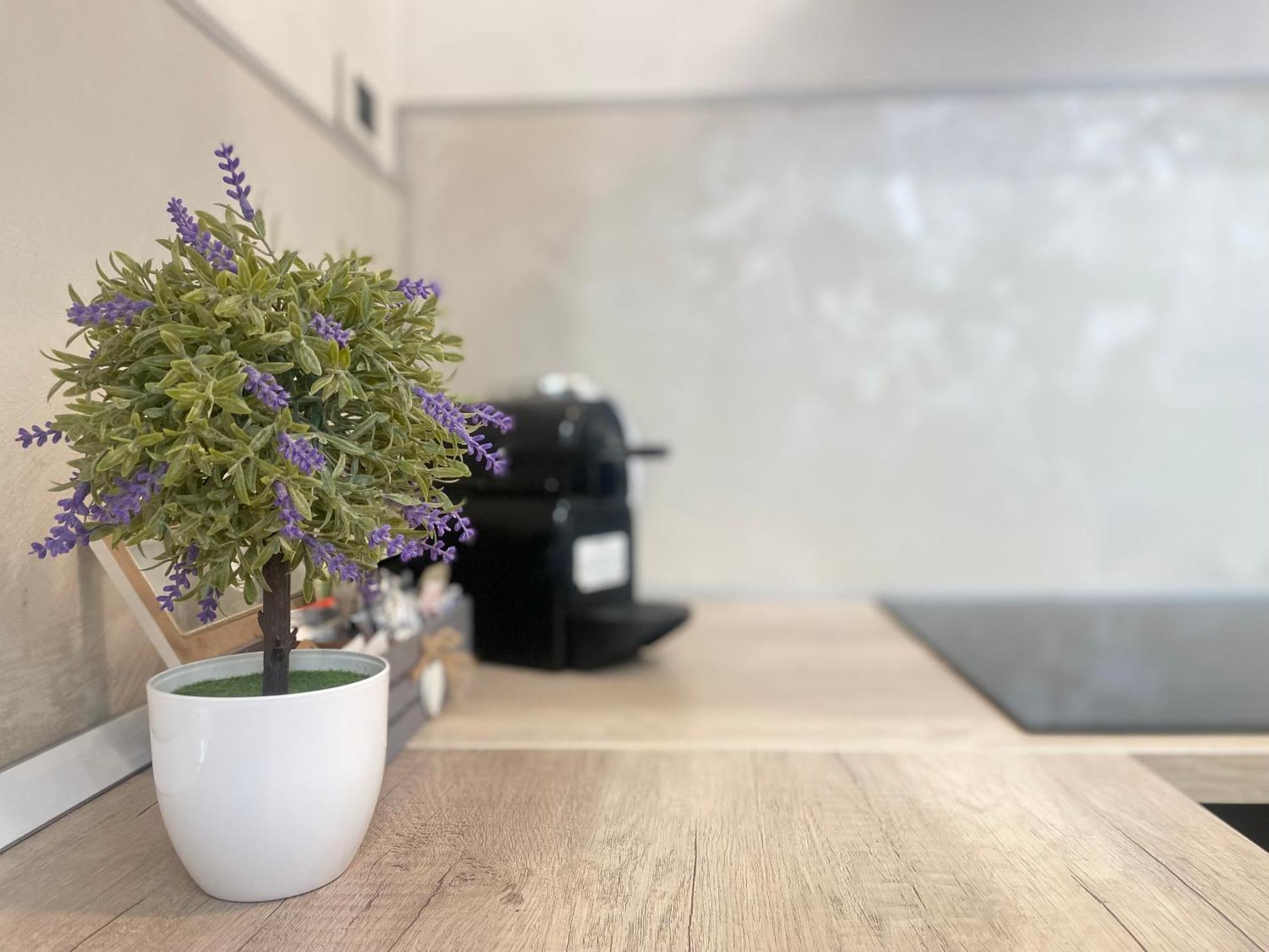Mazzini 12 Very Central Apartment With Private Garage, Air Conditioning, Wifi, Just 50 Meters From The Beach Rapallo Bagian luar foto